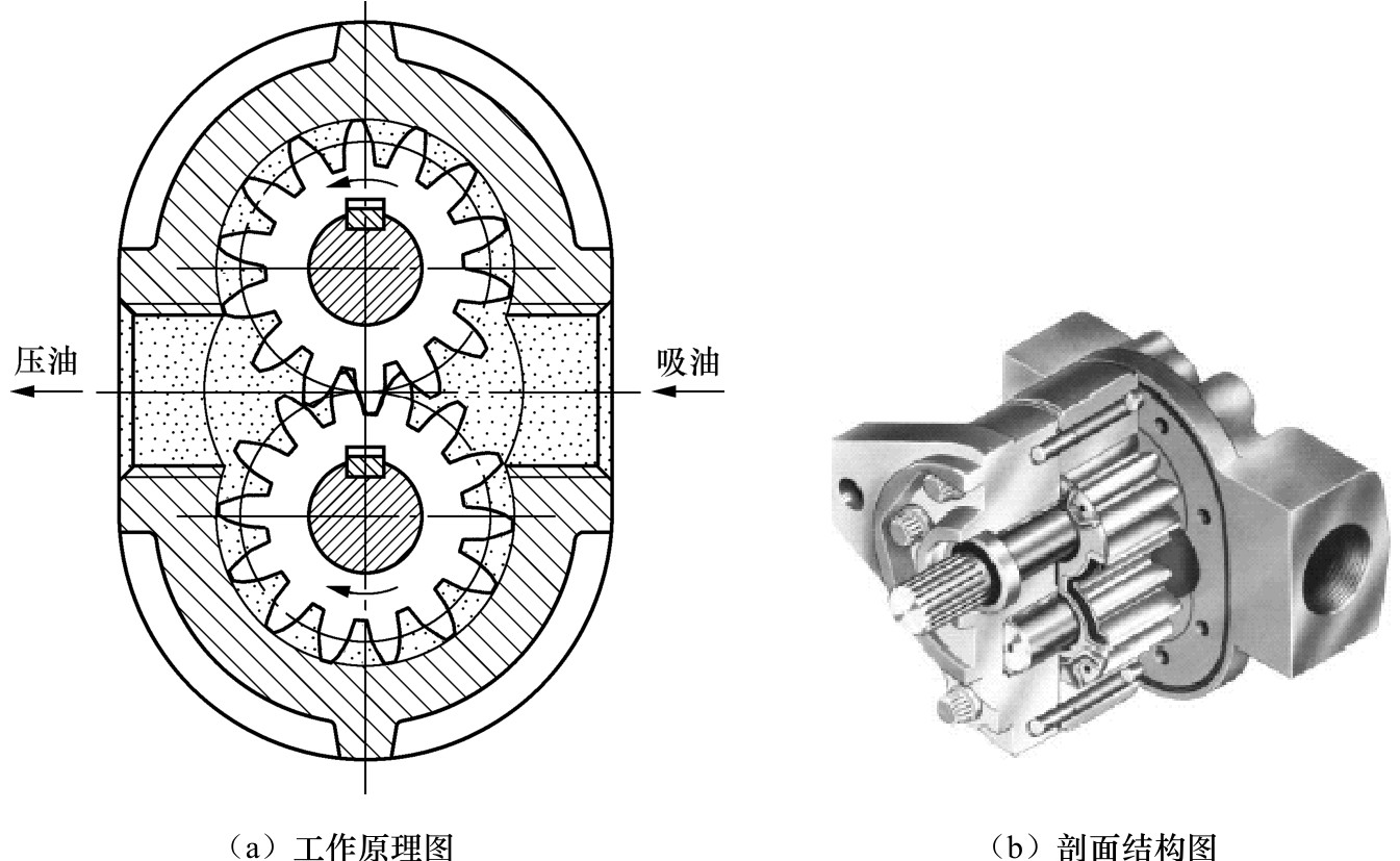 外啮合齿轮泵结构和工作原理